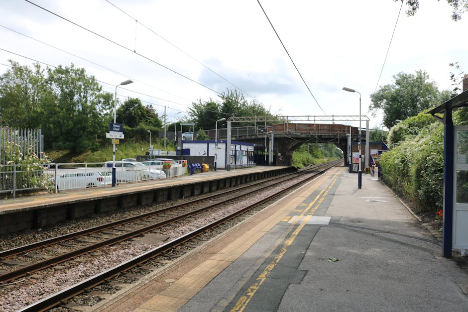 A view of Elmstead Woods station platform with two parallel railway tracks in the foreground. The platform is equipped with yellow tactile paving along the edge, a shelter on the right side, and a row