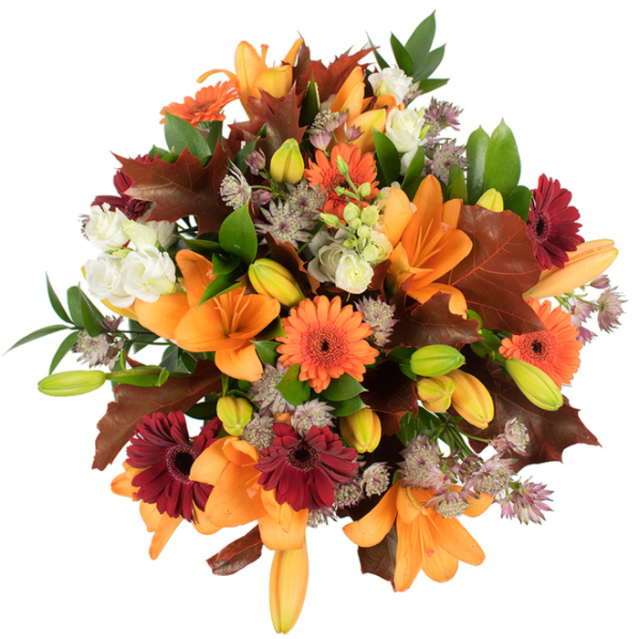 Viewed from above against a pure white background, this autumnal bouquet reflects a florist's eye for texture, seasonality, and balance-a composition Chislehurst Flowers might place in a window facing the High Street. The arrangement is anchored by full, open orange lilies whose trumpet-shaped petals curl gently at the tips, while numerous compact lily buds in soft orange and bright green nestle close, promising later blooms. Sunlit orange Gerbera daisies alternate with rich burgundy-red Gerberas, their radiating petals forming layered disks that add cheer and visual rhythm. Cream-coloured Lisianthus provide soft, ruffled contrasts; their layered petals catch light like small porcelain cups. The bouquet's finer threads are the pale purple Astrantia, tiny pinwheel clusters that lend an airy, filament-like texture and delicate contrast against the bolder blooms. Prominent, large reddish-brown oak-style leaves-their lobed edges and textured veins visible-are used like seasonal punctuation, reinforcing the feel of fallen leaves gathered after a brisk walk across Chislehurst Common or through Elmstead Woods. Interspersed glossy green leaves and slender stems supply a lively framework, giving the dense composition both lift and breathable space. The photograph's bright, even lighting intensifies each hue-the oranges glow, the burgundies deepen, and the whites recede like soft light-while the overall presentation remains lush and freshly gathered. This bouquet reads as a warm, harvest-inspired statement piece suitable for autumn decorating, a seasonal birthday, or a thoughtful delivery to a home in Chislehurst, Bromley, or nearby Orpington, crafted with local sensibility and an emphasis on natural texture and scent.
