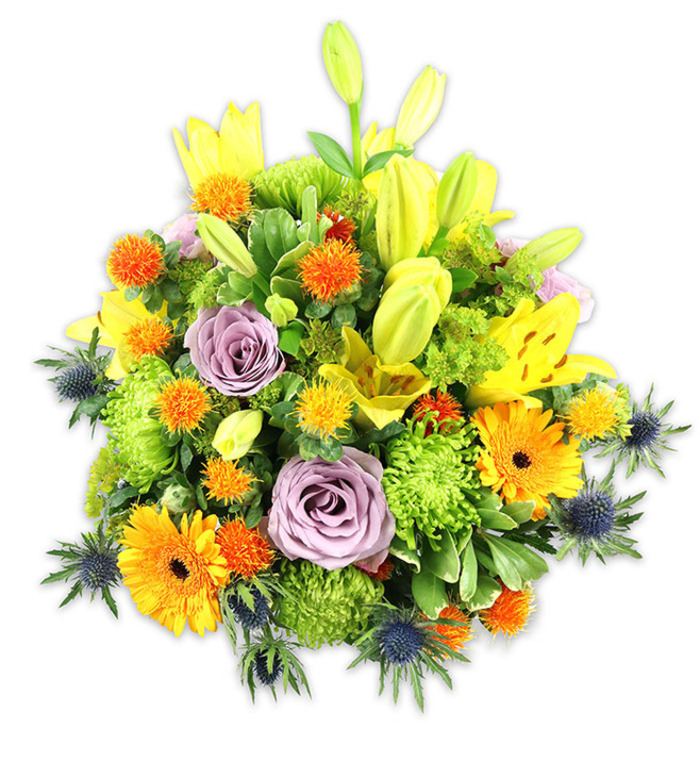 An expertly arranged, densely packed floral display pictured against a clean white field, its composition eloquently balancing exuberance and refinement. The bouquet's palette is anchored in sunlit yellows and vivid oranges, softened by gentle lavender and grounded by verdant greens, while cool blue-grey thistles add an arresting contrast. Yellow Asiatic lilies are the undeniable stars-some petals fully unfurled to reveal their speckled throats and delicate stamens, others held as tall, chartreuse-tinged buds that suggest growth and anticipation. Interwoven among them are cheerful orange Gerbera daisies with flat, radiating petals and darker centres that draw the gaze, and clusters of small, spiky orange and golden spherical blossoms that provide a lively, almost confetti-like texture. Plush, bright green 'button' chrysanthemums create a ruffled, mossy cushion that gives the arrangement density and a fresh, gardenlike feel. The blue-purple Eryngium thistles emerge along the sides and lower reaches, their starburst bracts and stiff stems offering an architectural coolness that complements the softer blooms. Two soft lavender roses sit centrally, their supple spiral petals introducing a quiet, romantic note and a faint fragrance that drifts through the composition. The foliage-broad lily leaves and varied glossy fillers-wraps and supports the flowers, creating depth and a cohesive silhouette suited to a mantelpiece or centre table. This is a design that communicates celebration, gratitude, or gentle sympathy, and will sit harmoniously in Chislehurst homes or offices after a stroll past the High Street shops or along the Common.